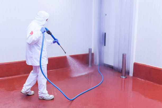 Trusted Lionville, PA Pressure Washing Services Experts